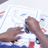 Agulhas - Zoetendal Akademie - Cat Education Facility