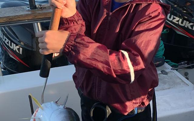 WhatsApp_Image_2020_03_21_at_18.19.46_3__1584960347 WhatsApp_Image_2020_03_21_at_18.19.46_3__1584960347