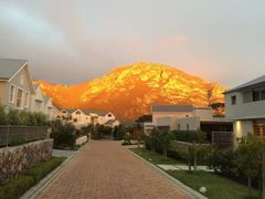 Immune Support and Stress Management Tip