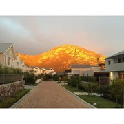 Immune Support and Stress Management Tip #4