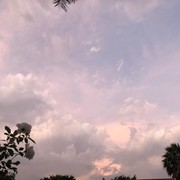 Immune Support and Stress Management Tip #11