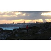 Immune Support and Stress Management Tip #12