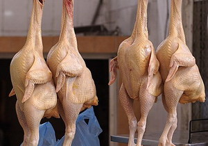 Henpecked and Whipped