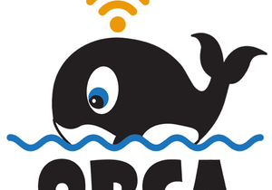 Orca's Operations During COVID-19 Lockdown