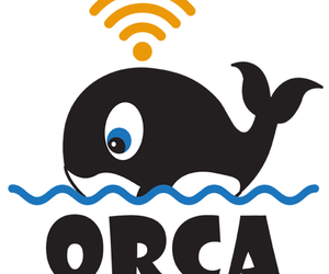 Orca's Operations During COVID-19 Lockdown