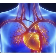 Immune Support and Stress Management Tip #14