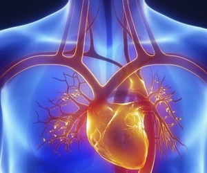 Immune Support and Stress Management Tip #14