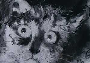 Online Charcoal and Pastel Course