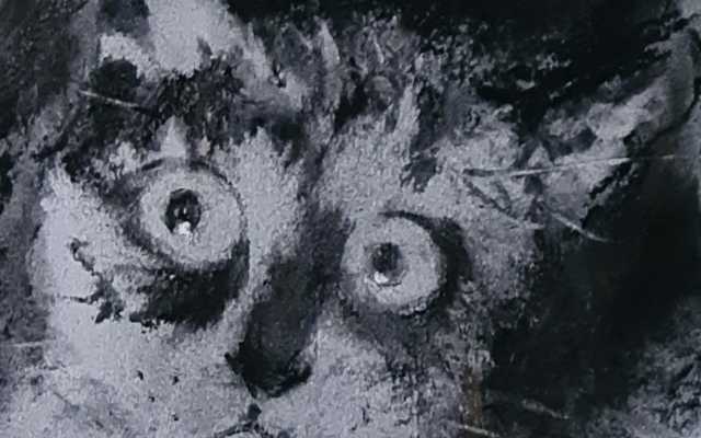 WhatsApp_Image_2020_04_11_at_19.05.36_3__1586931070