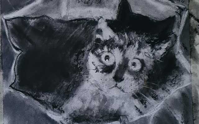 WhatsApp_Image_2020_04_14_at_14.37.22_1__1586931069