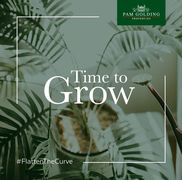 5 Household plants to enhance your home (and mood) during lockdown