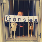 Staff Miss Their Gansies - Laerskool Gansbaai