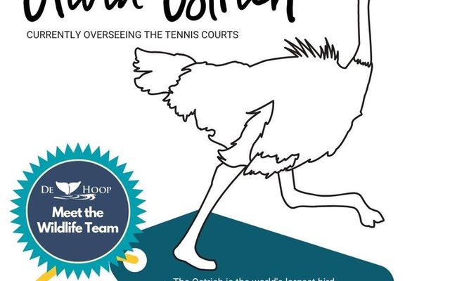 93796297_10157739561176677_1361351289614630912_o_1587020519 93796297_10157739561176677_1361351289614630912_o_1587020519