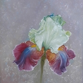 Irisis - Linda Budde_Artist - Xplorio™ Gansbaai