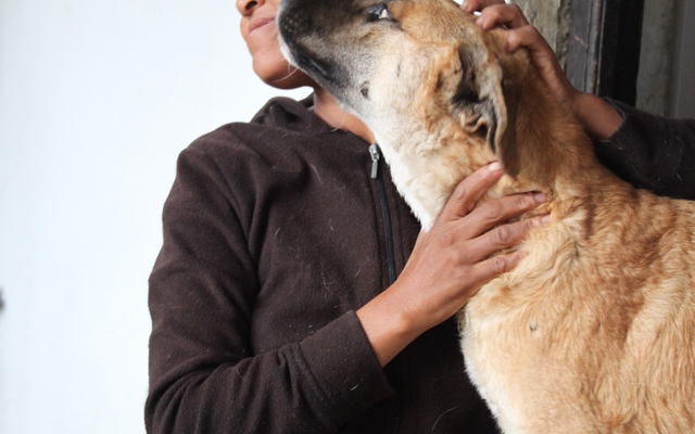 Katriena van der Westhuizen and Bullet - Stanford Pet Feeding Project: Please Help