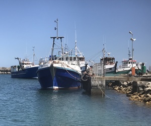 What we love about Gansbaai and surrounds