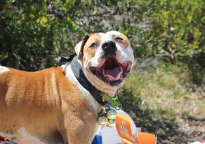 Stand Up For a KAWS You Believe In