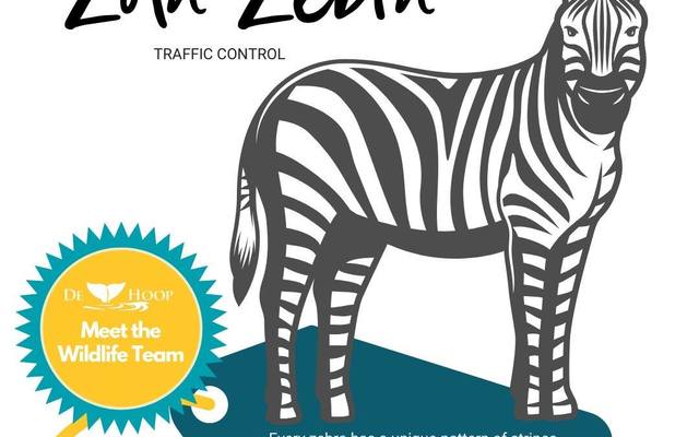 94553793_10157777347506677_6188910915618865152_o_1588162715