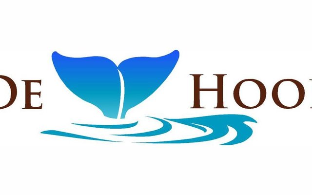 de_hoop_new_logo_1588162715