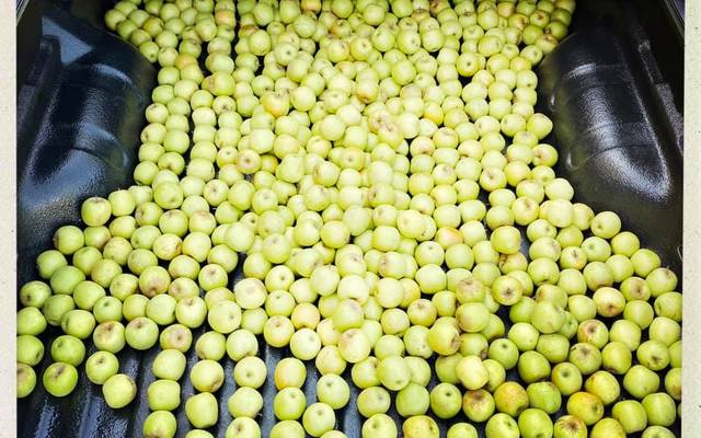 92824142_2978358262209789_3839725789398433792_n_1588169831 92824142_2978358262209789_3839725789398433792_n_1588169831