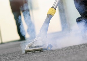 Steam Cleaning & Spray Sanitizing