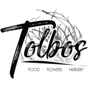 Menu - Friday, 1 May 2020