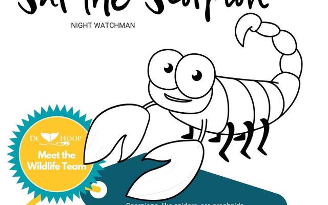 95489850_10157795381956677_2146949302528770048_o_1__1588753726 95489850_10157795381956677_2146949302528770048_o_1__1588753726