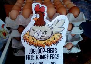 Free-Range Eggs