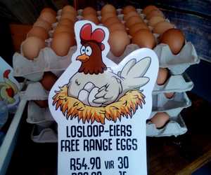 Free-Range Eggs