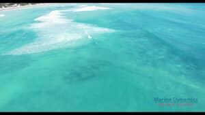 13 May 2020 - Going Live with Kelly Baker & Dickie Chivell