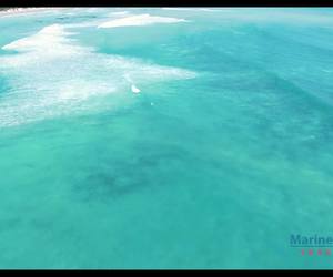 13 May 2020 - Going Live with Kelly Baker & Dickie Chivell