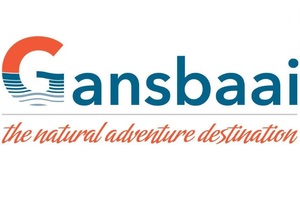 Tourism Recovery Survey