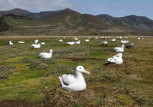 South Africa for Biodiversity - Gansbaai Daily News