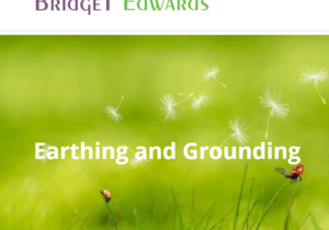 Earthing and Grounding