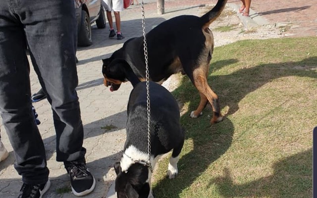 97984355_653060708627048_899618262067707904_n_1590399364