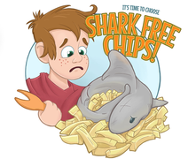 Management and Conservation of Shark Species by South Africa