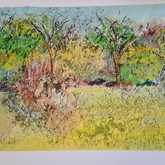 Artwork - Sara Abbott Studio - Stanford