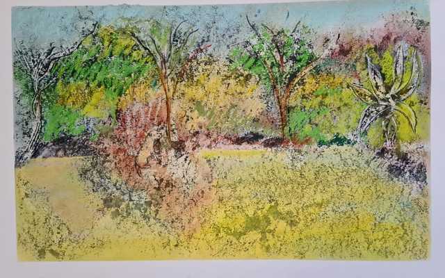 WhatsApp_Image_2020_05_26_at_15.19.55_1_1590560188