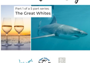 Marine Big 5 & Wine Pairing - Thursday, 28 May, 18:00
