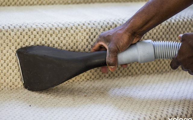hermanus_house_home_cleaning_services_gazooks_solutions_washing_carpets_1564484885_1590653003