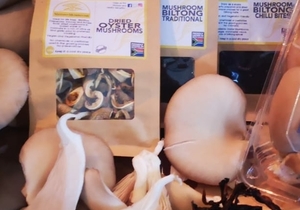 Meulen Mushrooms - R25.00 (Per Packet)