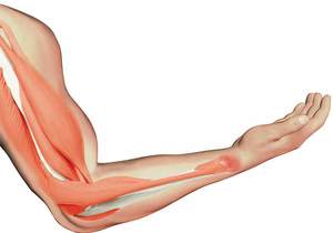 How To Restore Aging Muscles