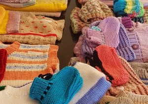 Thank You From Pikkewyntjies