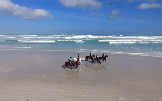 Gansbaai & Pearly Beach Horse Trails
