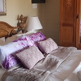 Black Oyster Catcher room