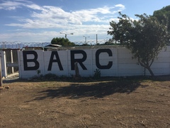 BARC Animal Welfare Needs Your Help!