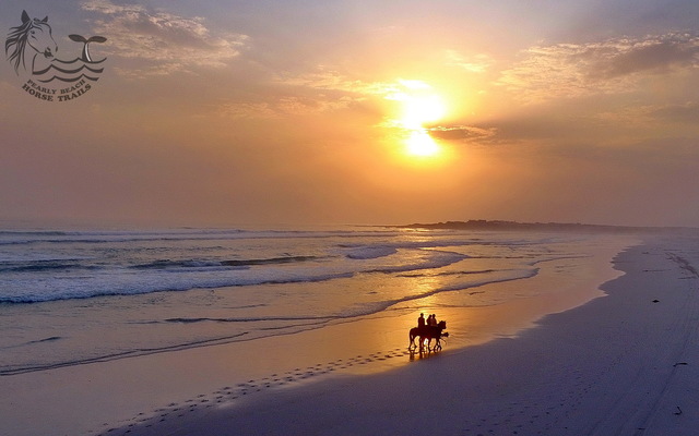Gansbaai & Pearly Beach Horse Trails Gansbaai & Pearly Beach Horse Trails