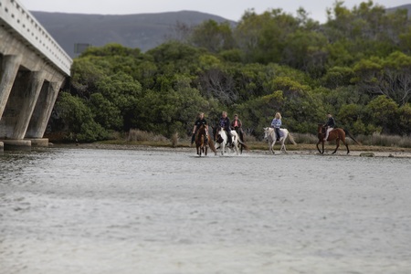 gansbaai_things_to_do_outdoor_adventures_horse_riding_gansbaai_lagoon_ride_1497859795_1593526025