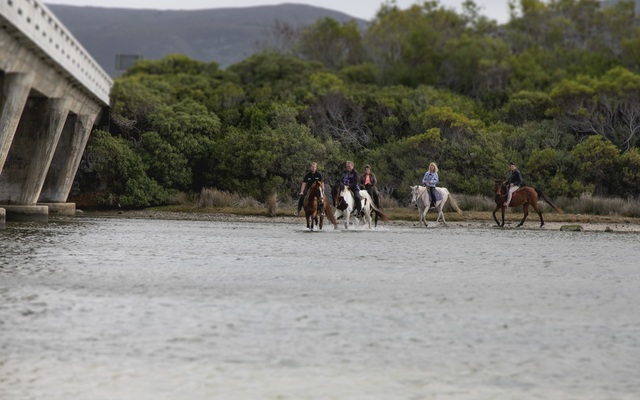 gansbaai_things_to_do_outdoor_adventures_horse_riding_gansbaai_lagoon_ride_1497859795_1593526025