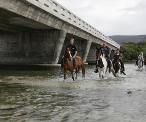 We are now open to the public!